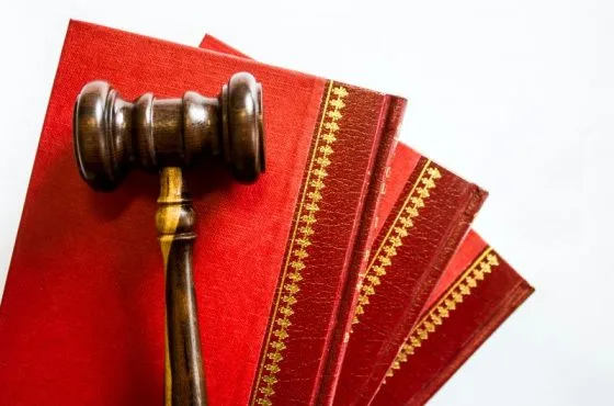 What is the Fire Authority?