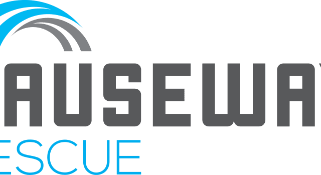 logo-191.png