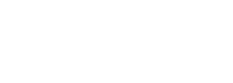 logo-387.png
