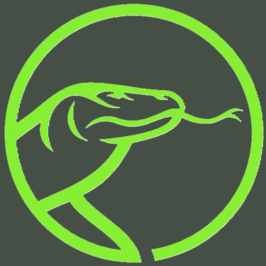 logo-535.png
