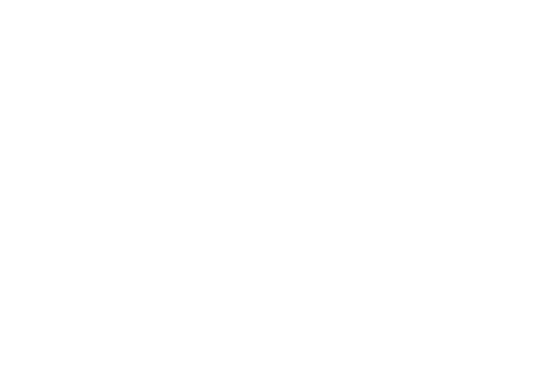 Brunel Fire And Security