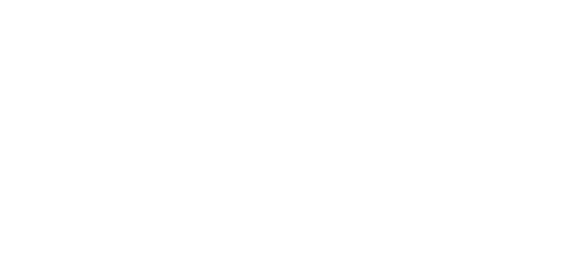 logo-865.png