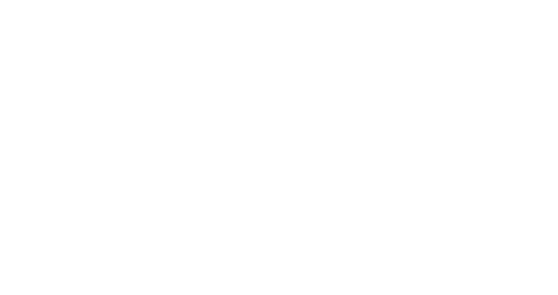 logo-305.png
