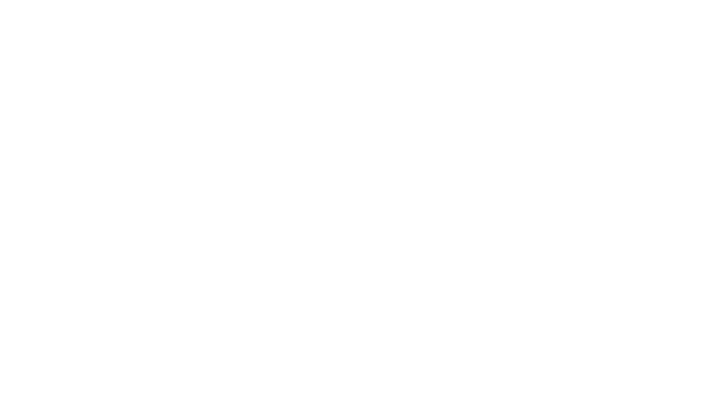 logo-555.png