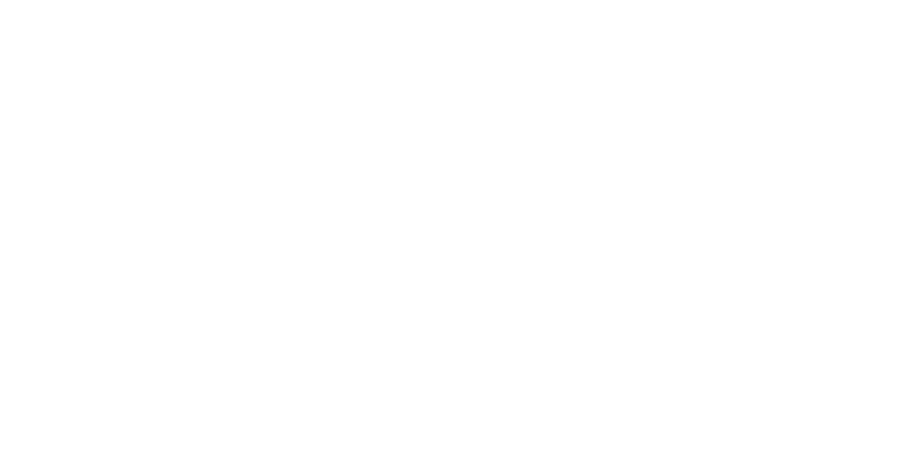 logo-555.png