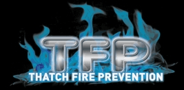 logo-695.png