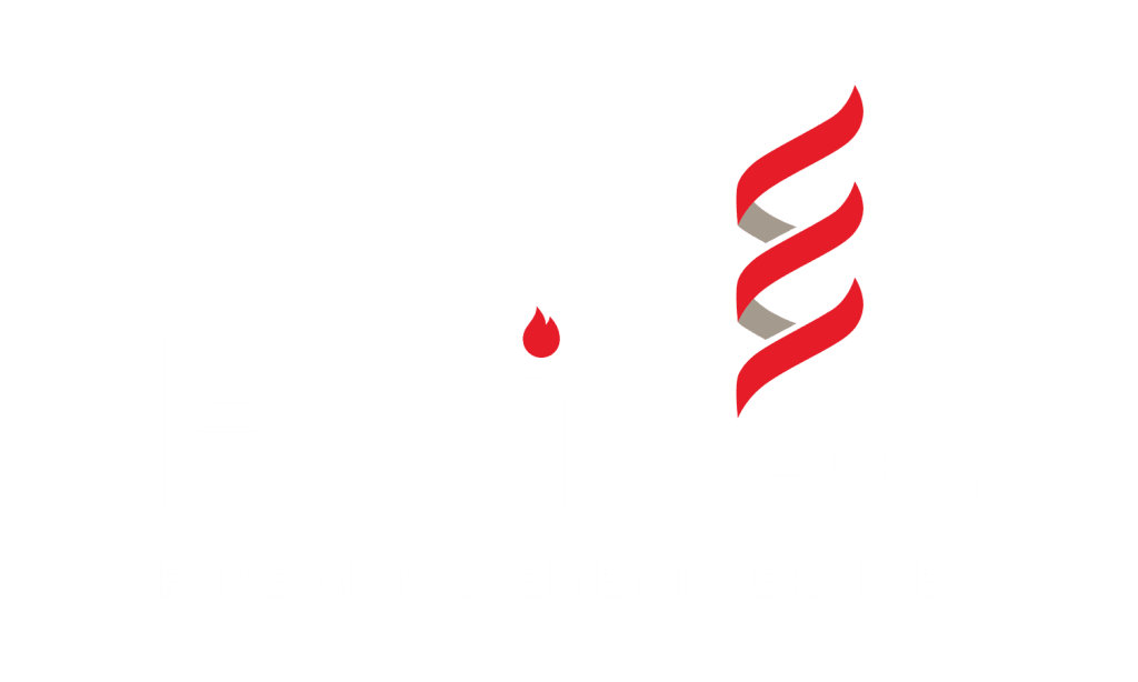 logo-961.png