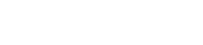 logo-991.png